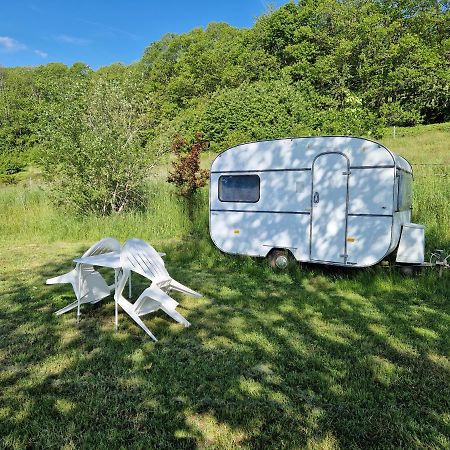 Camping La Foret Du Morvan Vintage Caravan Larochemillay Extérieur photo