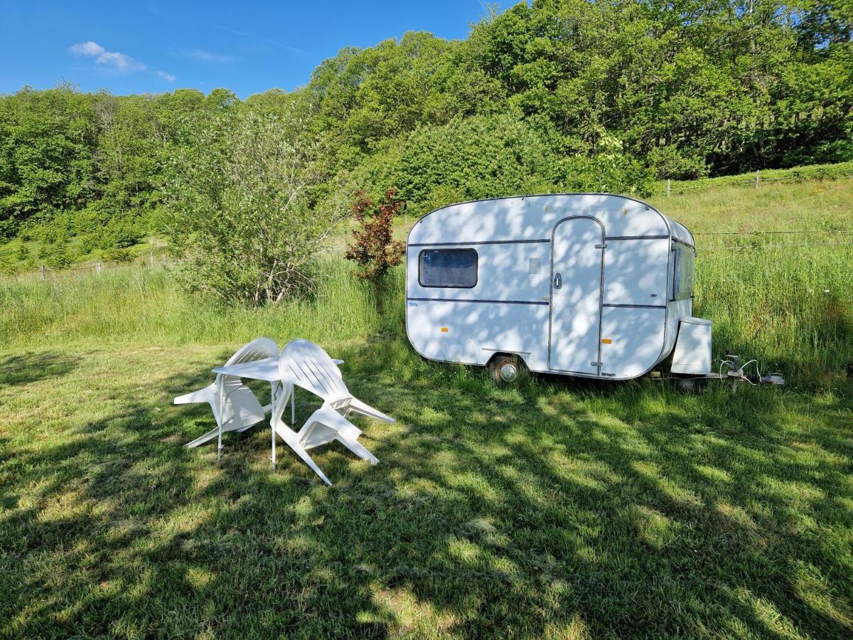 Camping La Foret Du Morvan Vintage Caravan Larochemillay Extérieur photo